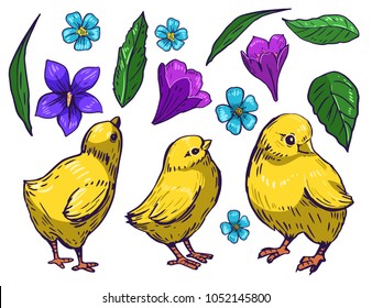 Set of easter chicks, eggs, flowers. Hand drawn illustration converted to vector