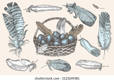 Set of Easter eggs and realistic bird feathers. Vintage engraving style. Engraved folk style. Line art ester decoration card design. Happy holiday banner. Hippity Hoppity Hop Vector illustration.