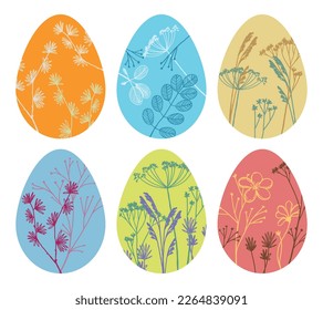 Set of Easter holiday eggs decorated of wild plants. Hand drawn vector illustration isolated on white. Gentle clip arts collection.