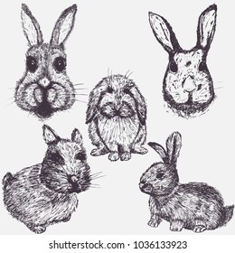 Set of Easter rabbits. Hand drawn sketch elements