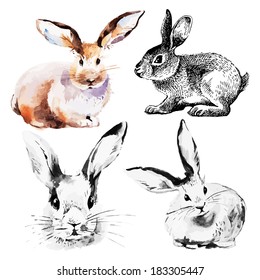 Set of Easter rabbits. Hand drawn sketch and watercolor illustrations 