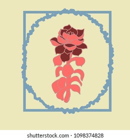 Set of echeverias drawn in vector for design