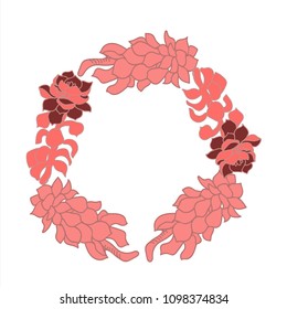 Set of echeverias drawn in vector for design