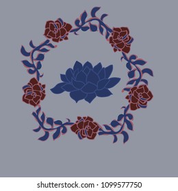 Set of echeverias drawn in vector for design