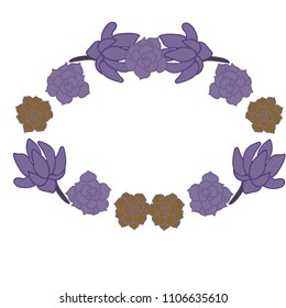 Set of echeverias drawn in vector for design