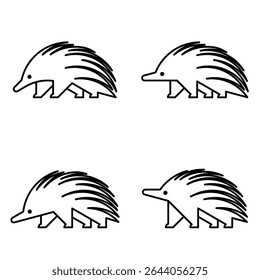 Conjunto do logotipo Echidna. Design de ícones. Elementos do modelo