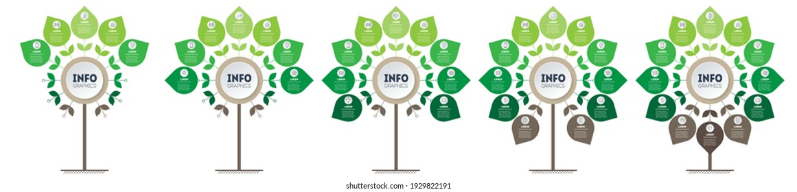Set of Eco Business presentations with 5, 7, 9, 11 and 12 options. Cycle of agricultural work. A chart or infographic divided by five parts.