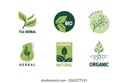 Set of eco friendly green badges design. Collection of vegan ,bio, organic food, gluten free, and natural products labels. Eco stickers for labeling package