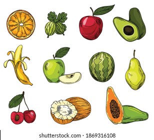 Set of eco fruits in colored line sketch style. Vector watercolor drawing of food collection. Colored line sketch of diferent fruts on a white background