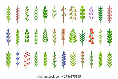 Set of eco green tree branches with leaves. Floral plant of hand drawn element of leaf, branch, berry. Botanical collection garden herbs for brush pen, flower ornament divider. Vector illustration