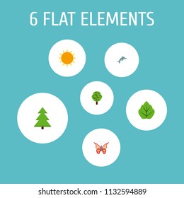Set of eco icons flat style symbols with leaf, dolphin, spruce and other icons for your web mobile app logo design.