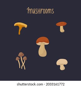 A set with edible forest mushrooms. The inscription Mushrooms, a collection of mushrooms for cooking, on a dark background. Vector illustration