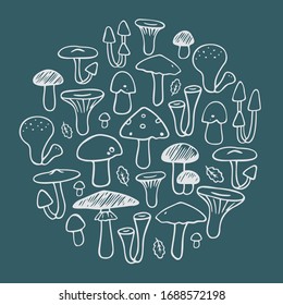 Set of edible and inedible mushrooms in a circle. Hand drown vector illustration. 