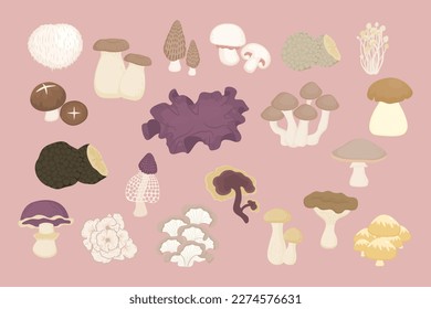 Set of Edible Mushroom Cute Hand Drawn Illustration
