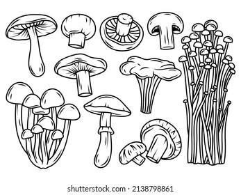 Set of edible mushrooms. Collection of porcini mushroom, shiitake and chanterelles. Vector illustration on white background. Linear Art. Tattoo.