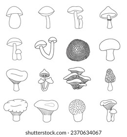 Set of edible mushrooms in doodle style. Porcini mushroom, boletus, chanterelle, camelina mushroom, russula, morel, truffle, milk mushroom, honey mushroom, champignon, puffball, moss 