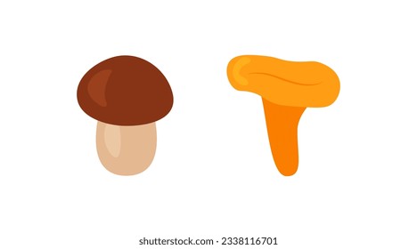 Set of edible mushrooms in flat style. White mushroom and chanterelle mushroom. Organic vegetarian product for menu, label, recipe, shop, packaging. Vector on white background eps 10.