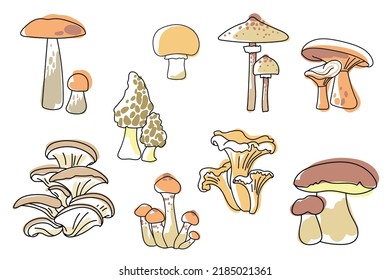 Set von essbaren Pilzen einzeln auf weißem Hintergrund. Waldpilze - Boletus porcini, Aspen bolete, Chanterelle, Morel, Honigpilz, Austern, Sonnenschirm. Linien- und Farbpunkte. Pastellfarben, Vektorgrafik.