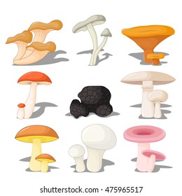 set edible mushrooms with shadow, three-dimensional on white background