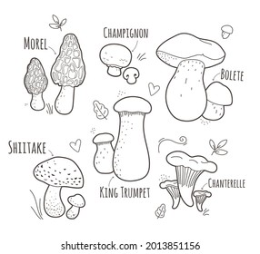 Set of edible mushrooms,delicious autumn. Bolete, Morel,  Champignon, Chanterelle,King Trumpet, Oyster,Chanterelle,Shiitake mushrooms.Vector black and white illustration.