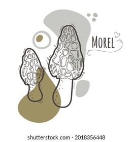 Set of edible mushrooms.Group of morel,morchella mushrooms isolated on abstract background.Simplified black and white vector illustration with title.