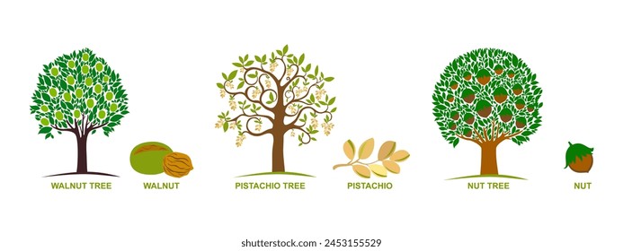 Set of edible nuts. Collection of silhouettes of trees: hazelnut, pistachio, walnut. Hand drawn botanical vector illustration.