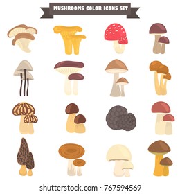 Set of edible and poison mushrooms color flat icons