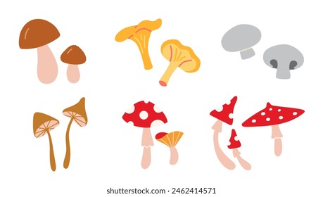 Set with edible and poisonous mushrooms, chanterelles, champignons, porcini mushroom, fly agarics and toadstools, cartoon style. Vector illustration isolated on white, hand drawn, flat design