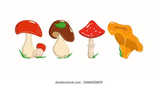 Set of edible and poisonous mushrooms. Chanterelles, porcini mushrooms, fly agarics. Doodle drawings. Types of forest mushrooms. Organic food. Edible mushroom.