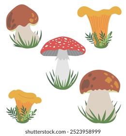 Conjunto de cogumelos porcini comestíveis, boletus edulis, chanterelle, e cogumelo amanita ágar mosca vermelha venenosa na grama isolado em fundo branco. ilustração de cor plana vetor desenhado à mão