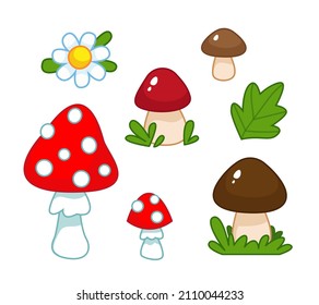 Set of edible white mushrooms, fly agaric and chamomile. Vector illustration in cute cartoon childish style. Isolated funny clipart on white background. Lovely floral print