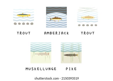 Set of editable fish vector templates.