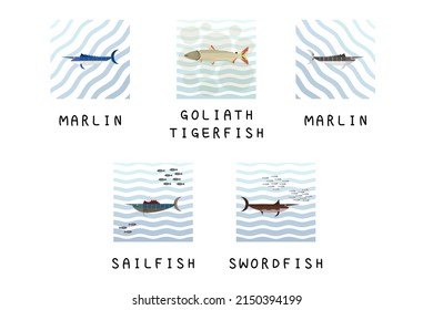 Set of editable fish vector templates.