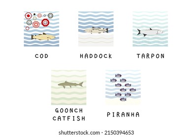 Set of editable fish vector templates.