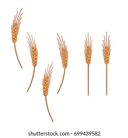 Set Editable icon - Includes silhouette cereal spikes & organic agriculture with colors style theme, isolated on white background. Vector illustration eps10 Elements graphic design