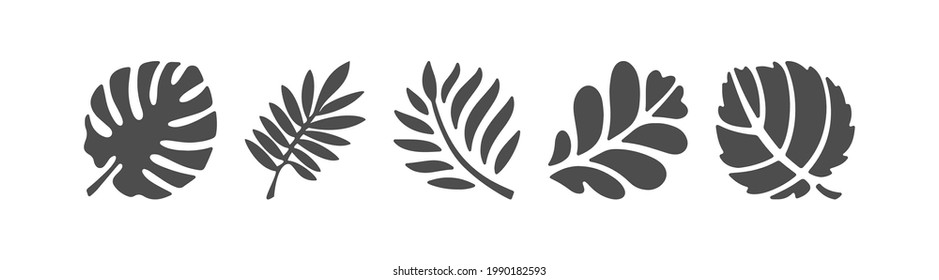 Conjunto de hojas de planta editables para el diseño creativo, silueta rellena. Diseño plano.
