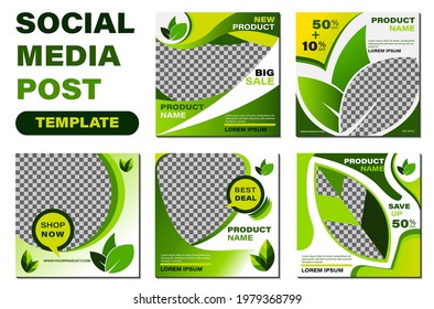 Set of Editable social media post template. Green Leaf Social Media Banner Template Collection. Suitable for social media posts and web internet ads. Vector illustration with photo collage