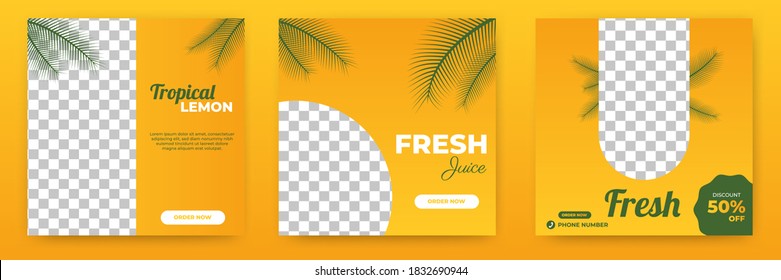 Set of editable square background. Post template juice with palm tree decoration. Flat design vector isolated, with photo collage. Perfect for social media post, story and web internet ads.