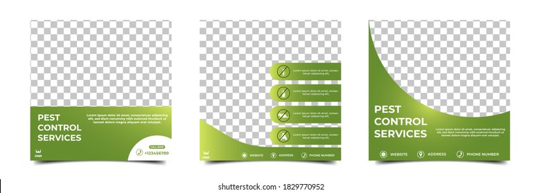 Set of editable square background template. Social media post template pest control. Green color with place for photo. Usable for Pest control and home care services.