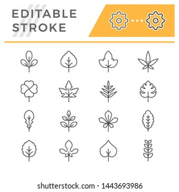 Set editable stroke line icons of leaf