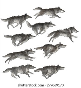 Set Of Editable Vector Illustration Of A Wolf Pack, Nine Different Running Wolves, Isolated