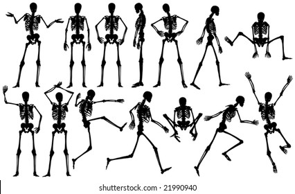 Set of editable vector male skeleton outlines