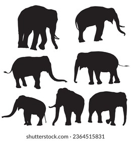 Set of editable vector silhouettes of African elephants in various poses
