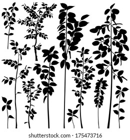 Set of editable vector silhouettes of generic tree saplings