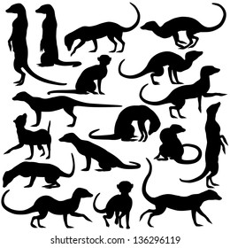 Set of editable vector silhouettes of meerkats in different postures