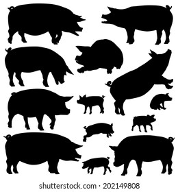 Set of editable vector silhouettes of pigs and piglets