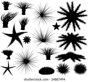 Set of editable vector silhouettes of sea lifeforms