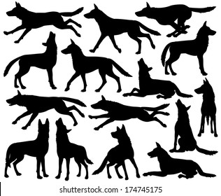 犬 シルエット 走る の画像 写真素材 ベクター画像 Shutterstock