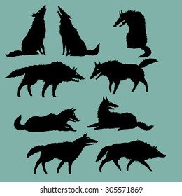 Set of editable vector silhouettes of wolves, wolf pack has a rest, black on grey, isolated, freehand drawing 