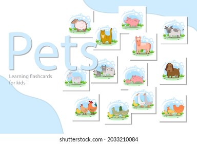 Set of educational cards for children. Pets: sheep, cat, pig, horse, cow, bull, calf, goat, dog, chickens, rooster, chicken, duck, turkey, goose. Domestic bird. Vector stock illustration. 